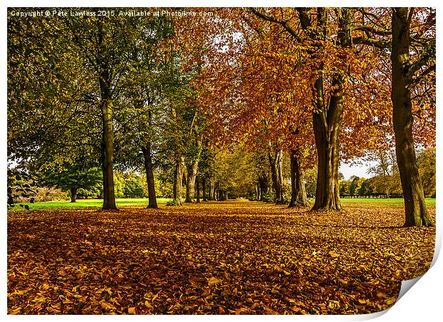  Autumn Avenue Print by Pete Lawless