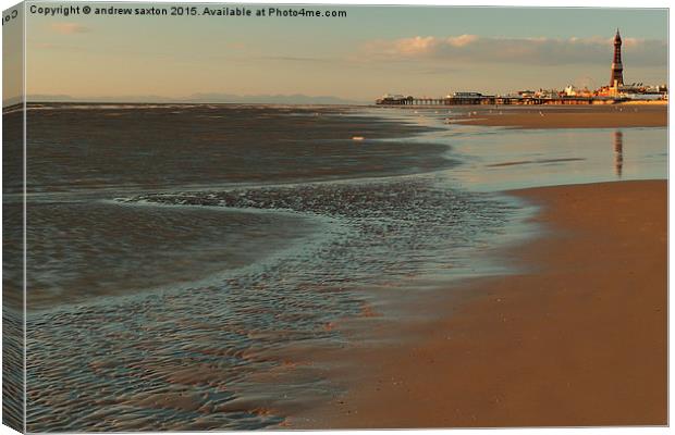  AT THE SEASIDE Canvas Print by andrew saxton