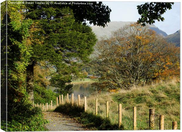 Path to Grasmere Canvas Print by Susan Tinsley