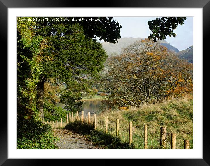 Path to Grasmere Framed Mounted Print by Susan Tinsley