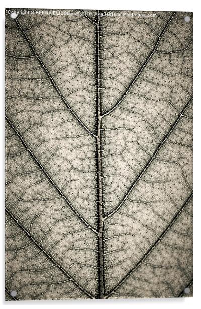 Leaf texture in sepia Acrylic by ELENA ELISSEEVA