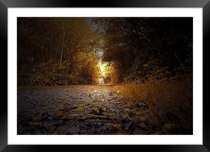  Autumn in Lincoln Framed Mounted Print by Andrew Scott