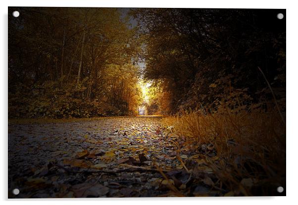  Autumn in Lincoln Acrylic by Andrew Scott