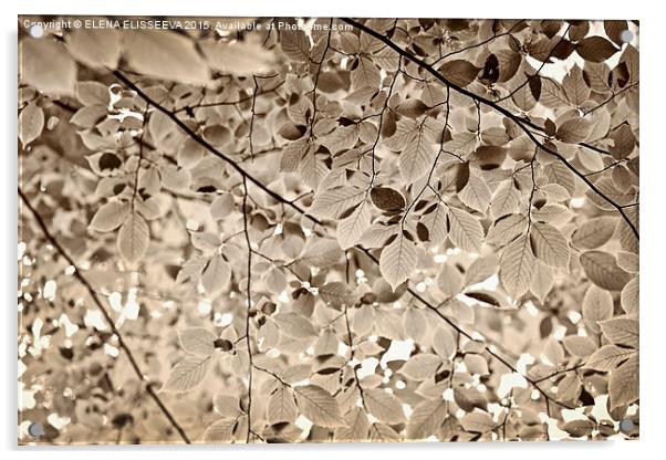 Sepia foliage Acrylic by ELENA ELISSEEVA