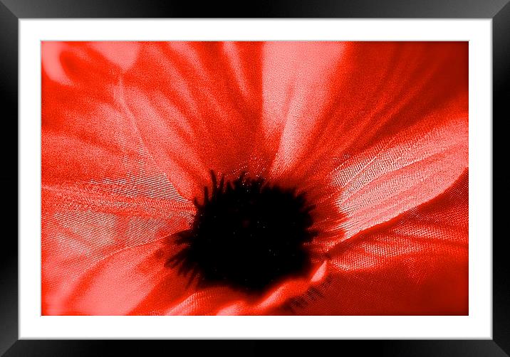  The Poppy Flower Framed Mounted Print by Sue Bottomley