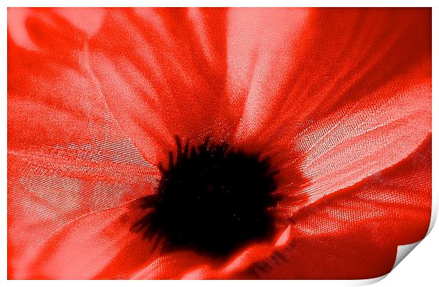  The Poppy Flower Print by Sue Bottomley