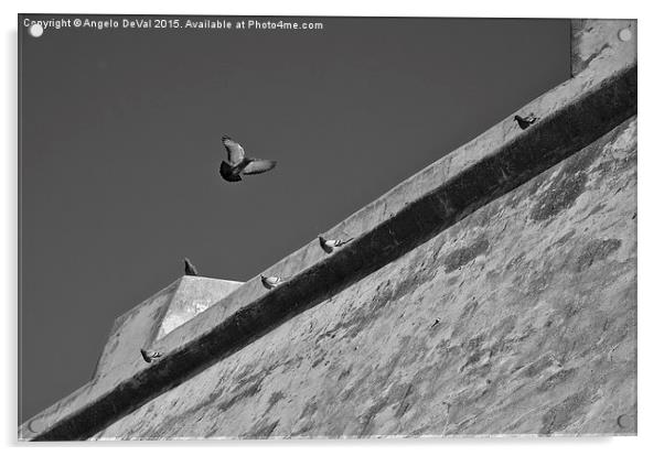 Pigeons flying in front of the canon battery in Po Acrylic by Angelo DeVal