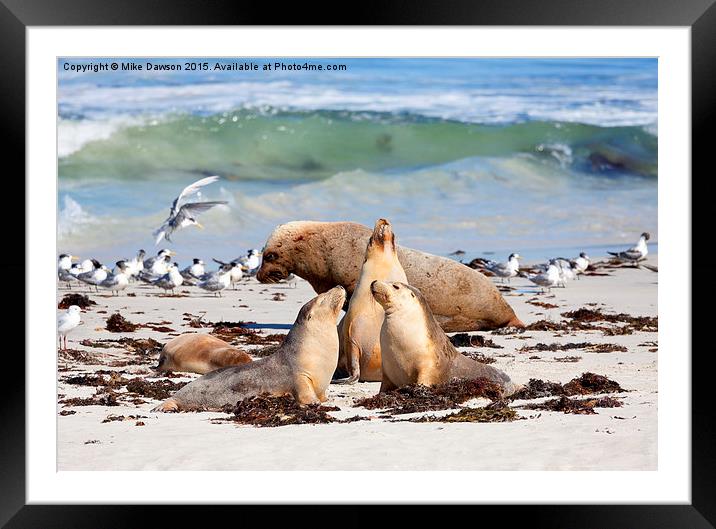 A Day at the Beach Framed Mounted Print by Mike Dawson