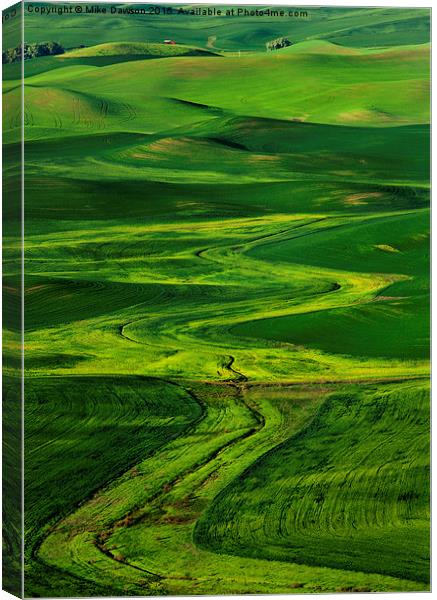Ribbons of Green Canvas Print by Mike Dawson