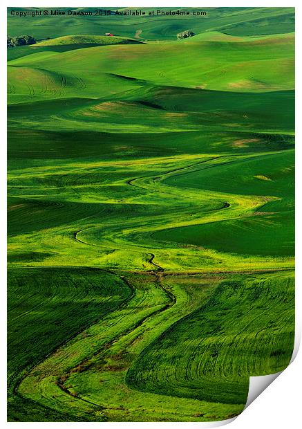 Ribbons of Green Print by Mike Dawson