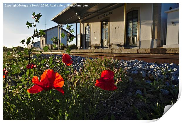 Poppy flowers in front of a train station in Castr Print by Angelo DeVal