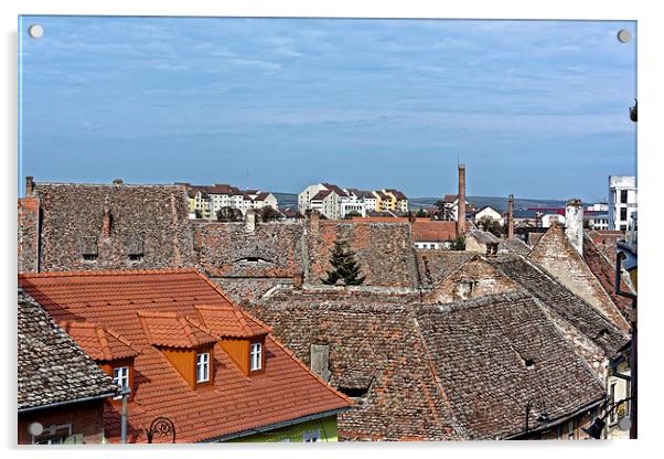 Old roofs and the new one in Old Town Sibiu Romani Acrylic by Adrian Bud