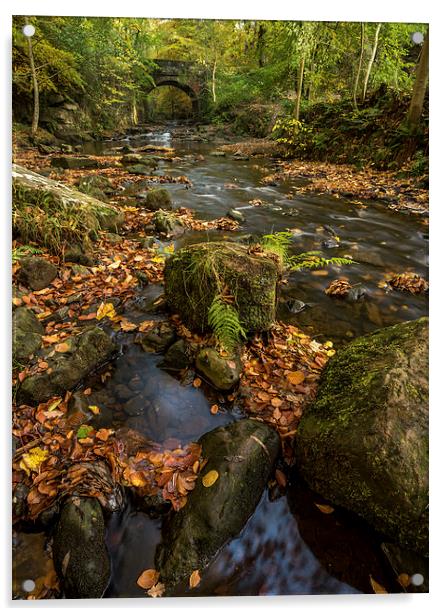 Maybeck Autumn Colours Acrylic by Dave Hudspeth Landscape Photography