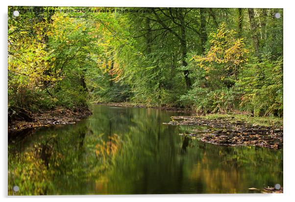  River Teign on Dartmoor Acrylic by Pete Hemington
