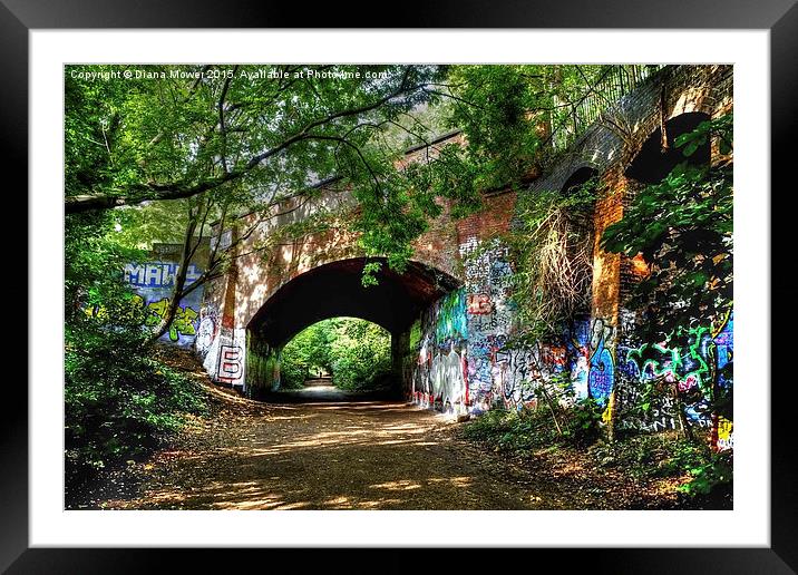 Parkland Walk London  Framed Mounted Print by Diana Mower