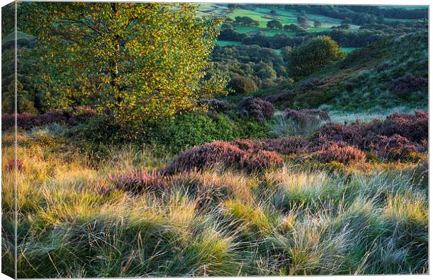  Colours and textures of September Canvas Print by Andrew Kearton