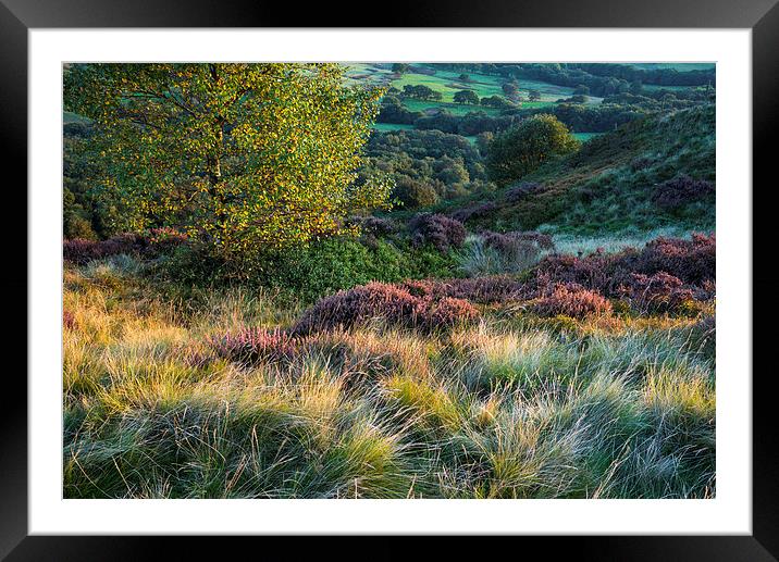  Colours and textures of September Framed Mounted Print by Andrew Kearton