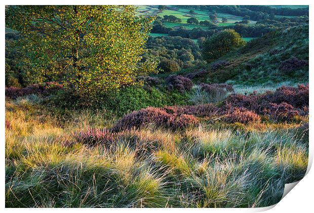  Colours and textures of September Print by Andrew Kearton
