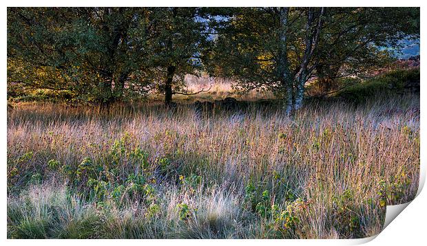 Textures of a September landscape Print by Andrew Kearton