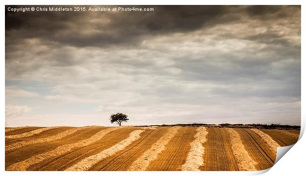  Tree Print by Chris Middleton