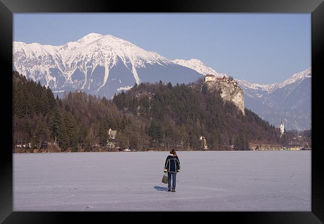Lake Bled frozen in winter, Slovenia. Framed Print by Ian Middleton