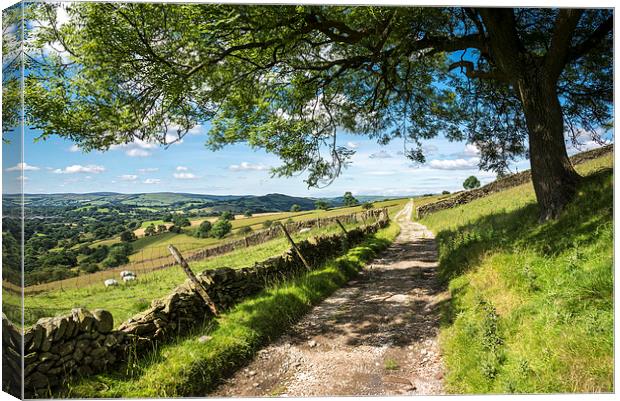  Rural farm track on a sunny summer day Canvas Print by Andrew Kearton
