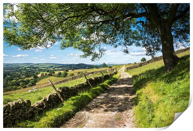  Rural farm track on a sunny summer day Print by Andrew Kearton