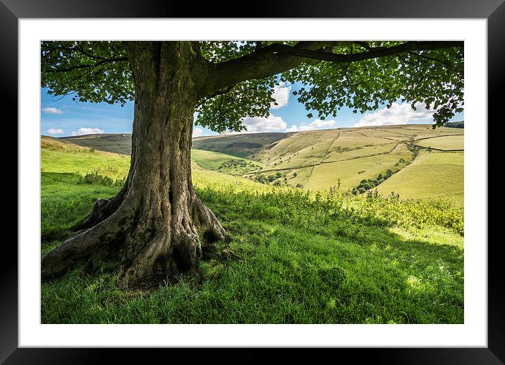  In the shade on a sunny day in the High Peak Framed Mounted Print by Andrew Kearton