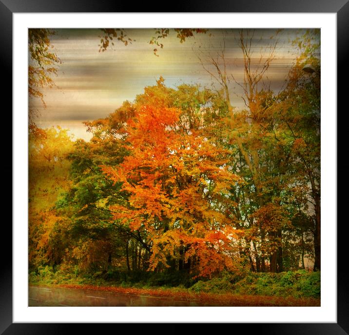  Colour Me Autumn. Framed Mounted Print by Heather Goodwin