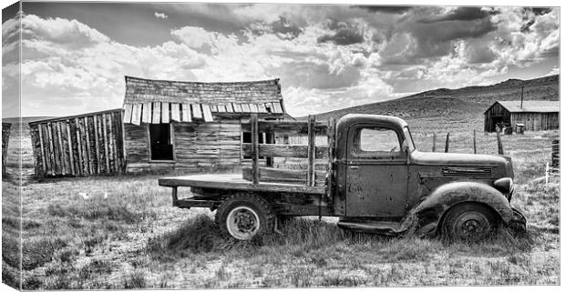  Old Pick Up Truck  Canvas Print by paul lewis