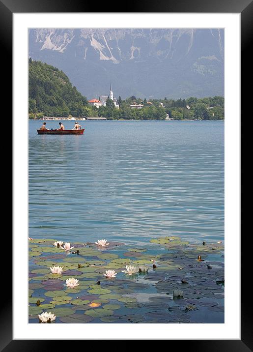Lake Bled, Slovenia Framed Mounted Print by Ian Middleton