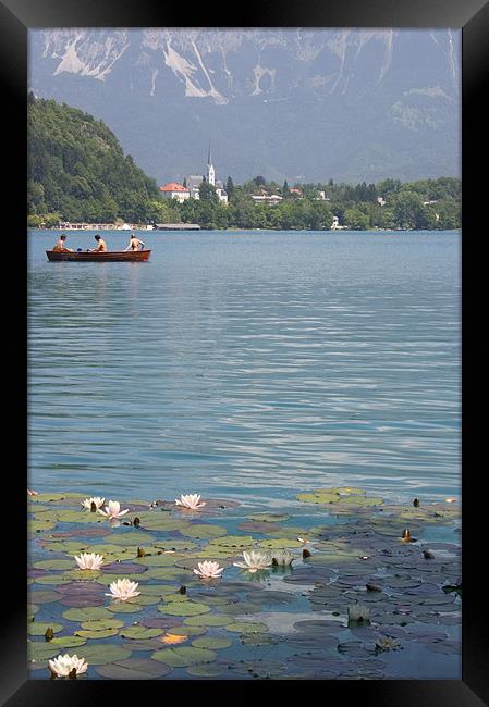 Lake Bled, Slovenia Framed Print by Ian Middleton