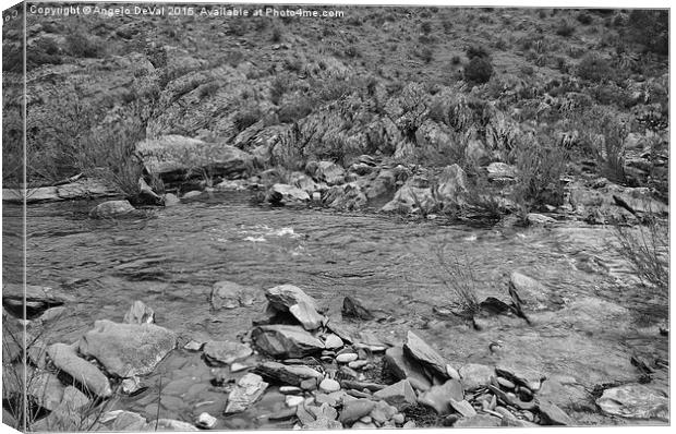 River Flow and Rocks in Alentejo Canvas Print by Angelo DeVal
