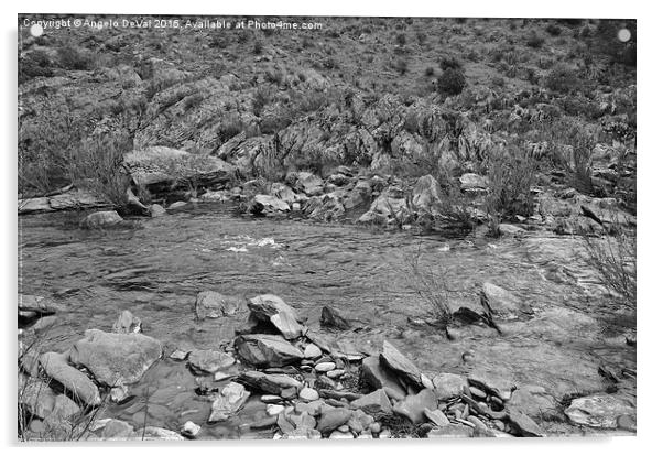 River Flow and Rocks in Alentejo Acrylic by Angelo DeVal