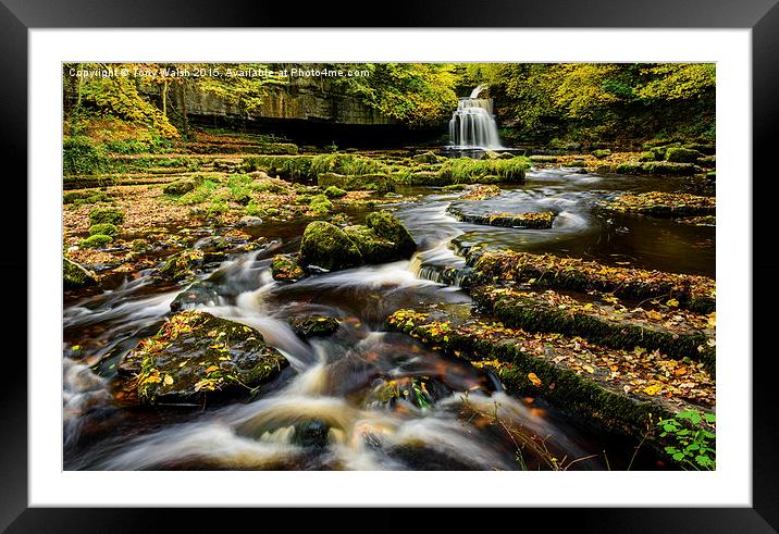  West Burton Waterfall Framed Mounted Print by Tony Walsh