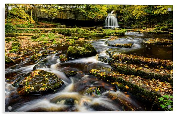  West Burton Waterfall Acrylic by Tony Walsh
