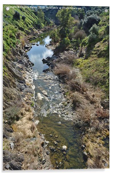 Oeiras Creek stream in Alentejo  Acrylic by Angelo DeVal