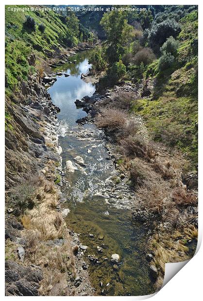 Oeiras Creek stream in Alentejo  Print by Angelo DeVal