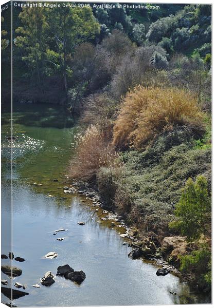 Oeiras Creek and vegetation in Alentejo  Canvas Print by Angelo DeVal