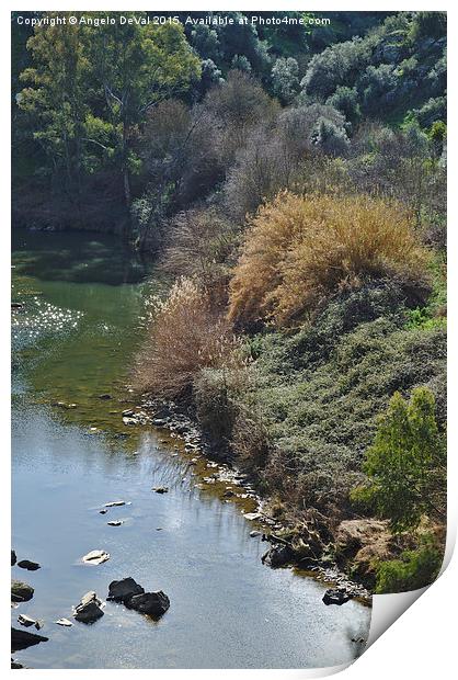 Oeiras Creek and vegetation in Alentejo  Print by Angelo DeVal