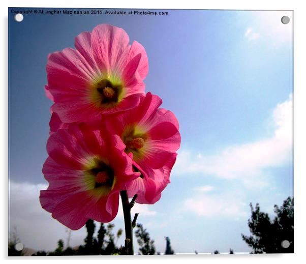   a stem with many nice flowers, Acrylic by Ali asghar Mazinanian
