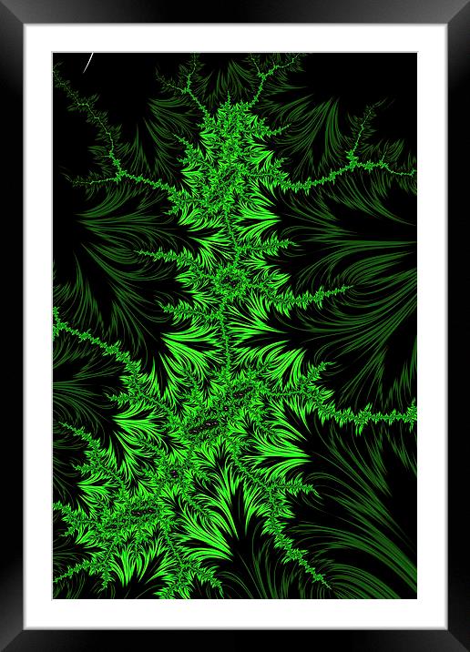 Green Creeper Framed Mounted Print by Steve Purnell