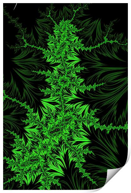 Green Creeper Print by Steve Purnell