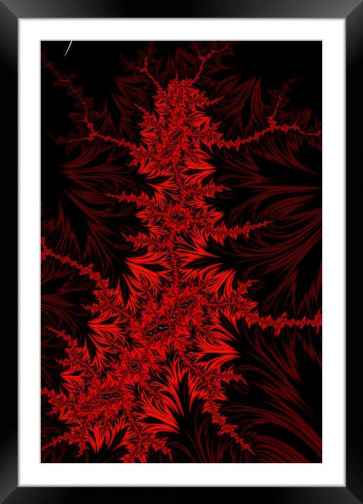 Red Creeper Framed Mounted Print by Steve Purnell
