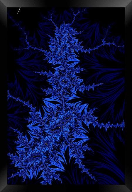 Blue Creeper Framed Print by Steve Purnell