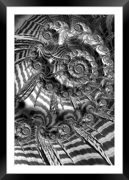 Spiral In Black And White Framed Mounted Print by Steve Purnell