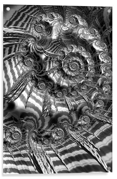 Spiral In Black And White Acrylic by Steve Purnell