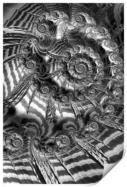 Spiral In Black And White Print by Steve Purnell