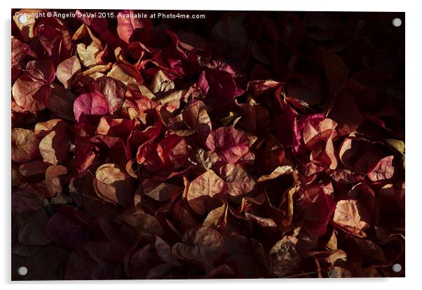 Autumns Fading Bougainvillea Mantle Acrylic by Angelo DeVal