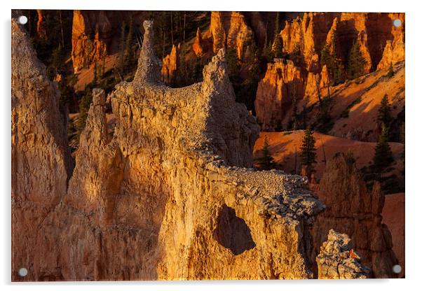 Sunrise at Bryce Canyon Acrylic by Thomas Schaeffer